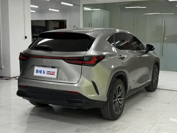 Lexus NX 2022 Model 260 Qian Drive Innovation Drive Edition – фото 6