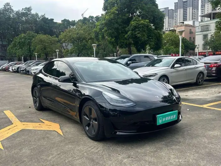 Model 3 2022 Model Rear-wheel drive version – фото 3