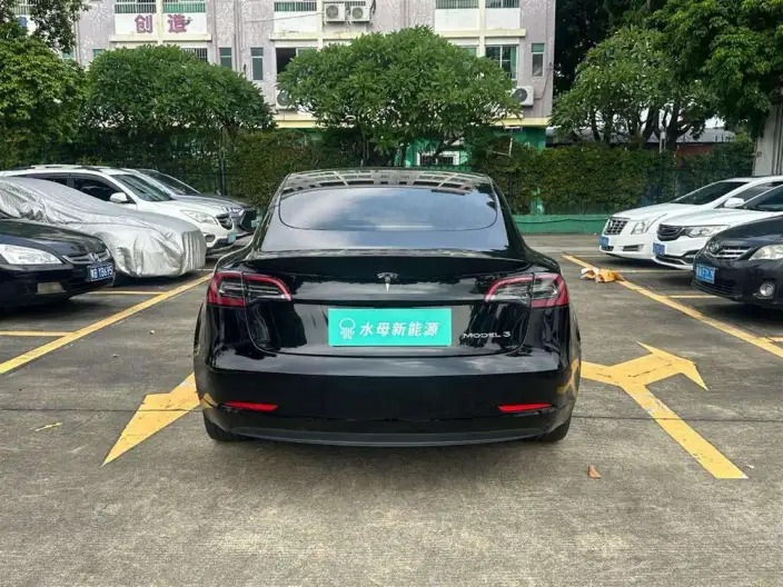 Model 3 2022 Model Rear-wheel drive version – фото 6
