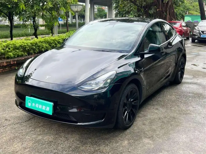 Model Y 2022 Model Rear-wheel drive version – фото 1