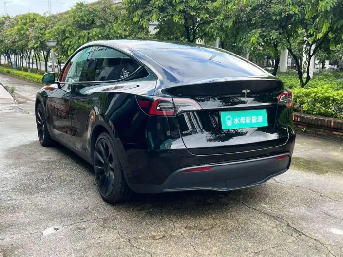 Model Y 2022 Model Rear-wheel drive version – фото 5