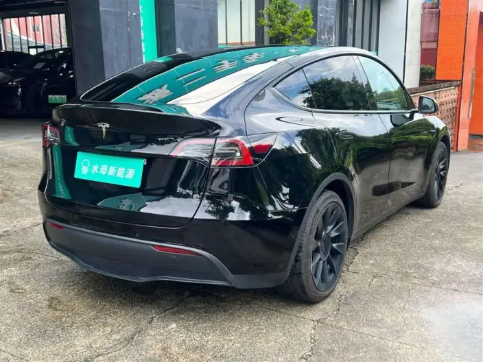 Model Y 2022 Model Rear-wheel drive version – фото 7