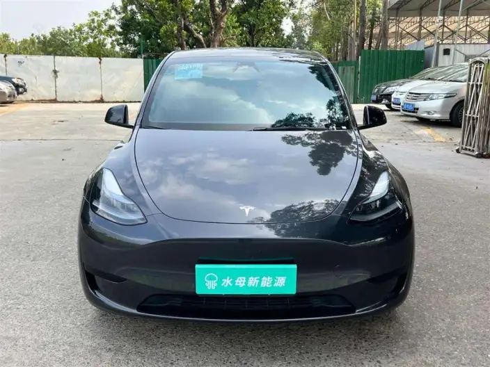 Model Y 2024 Model Rear-wheel drive version – фото 2