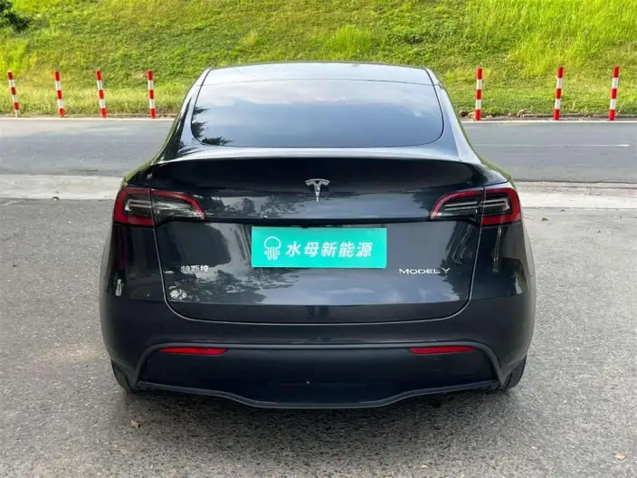 Model Y 2024 Model Rear-wheel drive version – фото 6