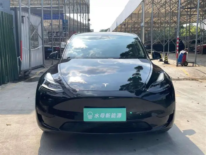 Model Y 2024 Model Rear-wheel drive version – фото 2
