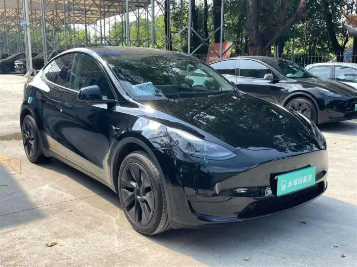 Model Y 2024 Model Rear-wheel drive version – фото 3