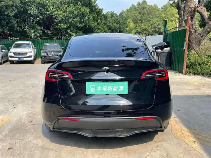 Model Y 2024 Model Rear-wheel drive version – фото 6
