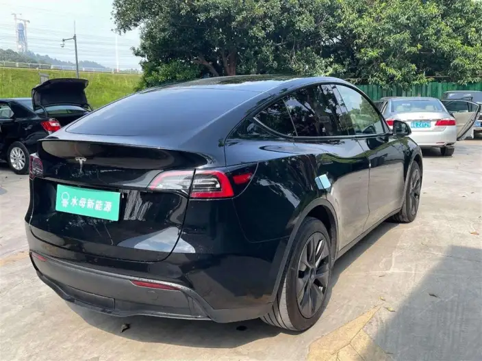 Model Y 2024 Model Rear-wheel drive version – фото 7