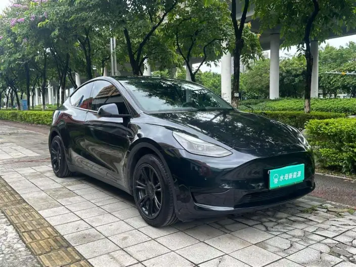 Model Y 2022 Model Facelift Rear-wheel drive version – фото 3