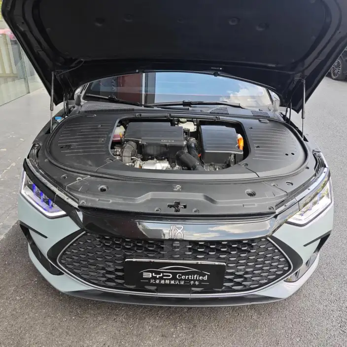 BYD Han DM 2023 Model DM-i Champion Edition 121KM Noble Model – фото 8
