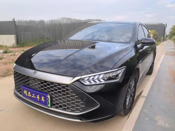 BYD Qin PLUS DM 2023 Model DM-i Champion Edition 55KM Leading Model – фото 1