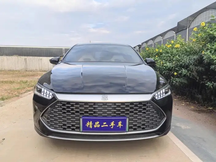 BYD Qin PLUS DM 2023 Model DM-i Champion Edition 55KM Leading Model – фото 2