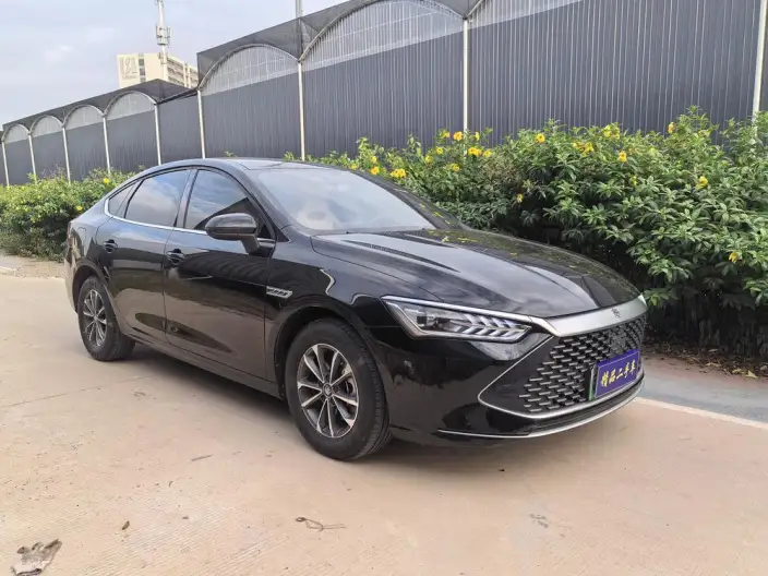 BYD Qin PLUS DM 2023 Model DM-i Champion Edition 55KM Leading Model – фото 3