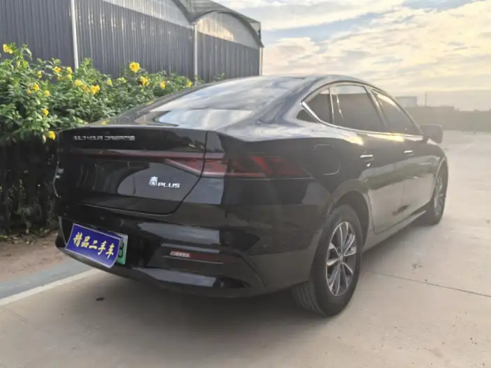 BYD Qin PLUS DM 2023 Model DM-i Champion Edition 55KM Leading Model – фото 6