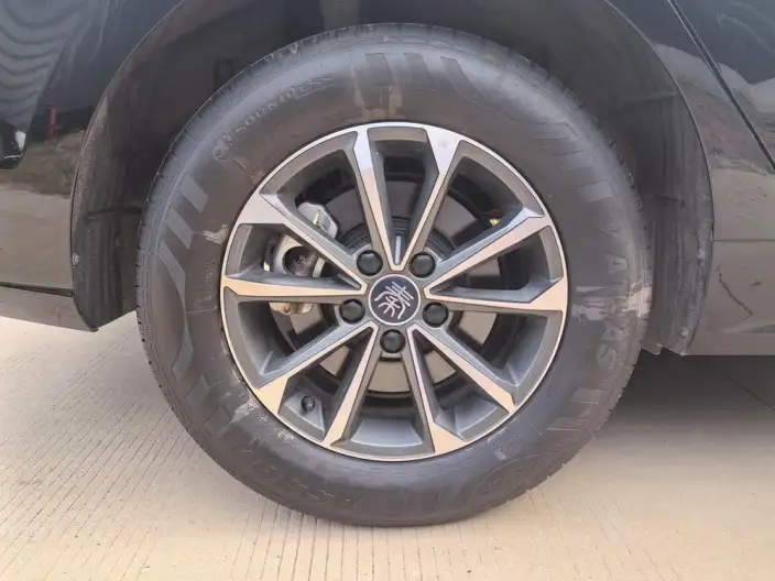 BYD Qin PLUS DM 2023 Model DM-i Champion Edition 55KM Leading Model – фото 8