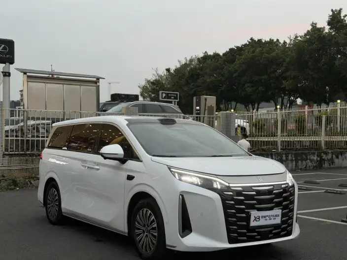 Xia 2026 Model DM-i 218KM Excellence Model