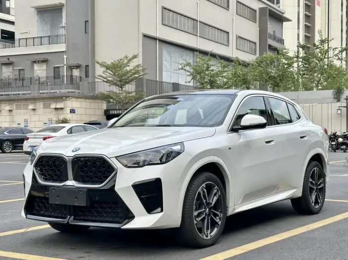 BMW X2 Imported 2024 Model sDrive25i M Sports Set – фото 1
