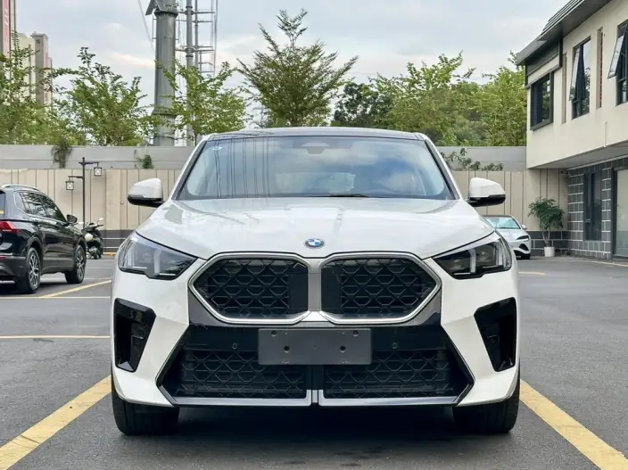 BMW X2 Imported 2024 Model sDrive25i M Sports Set – фото 2