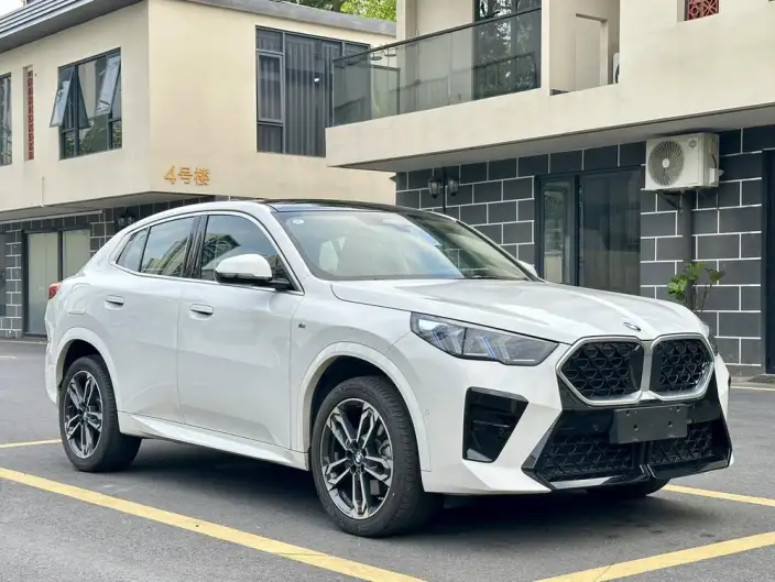 BMW X2 Imported 2024 Model sDrive25i M Sports Set – фото 3