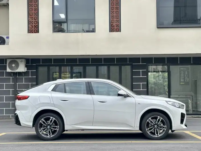 BMW X2 Imported 2024 Model sDrive25i M Sports Set – фото 8