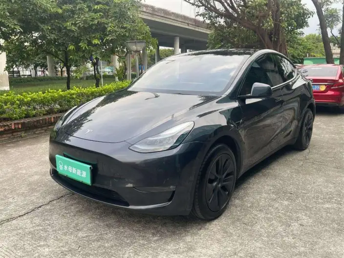 Model Y 2024 Model Long Battery Life Pro All-wheel drive version – фото 1