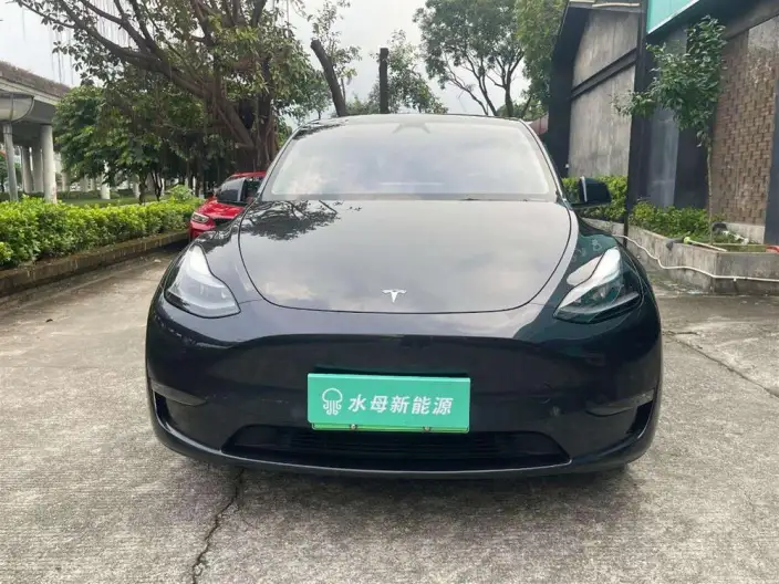 Model Y 2024 Model Long Battery Life Pro All-wheel drive version – фото 2