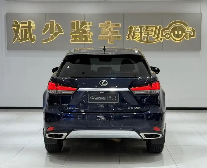 Lexus RX 2020 Model Facelift 300 2WD Comfort Edition – фото 5