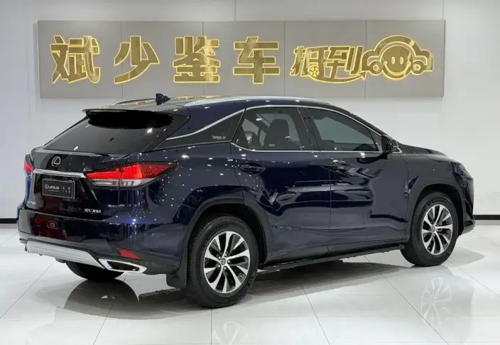 Lexus RX 2020 Model Facelift 300 2WD Comfort Edition – фото 6