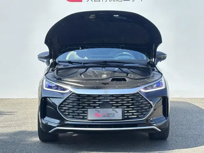 BYD Tang DM 2024 Model Honor Edition DM-i 112KM Flagship Model – фото 7
