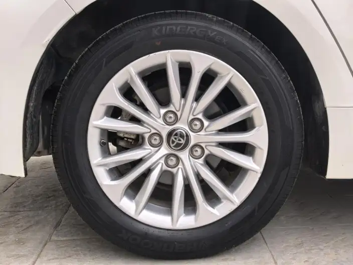 Asia Lion 2022 Model 2.0L Pioneer Edition – фото 8