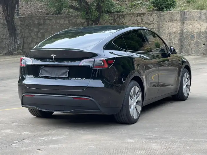 Model Y 2022 Model Facelift Rear-wheel drive version – фото 6