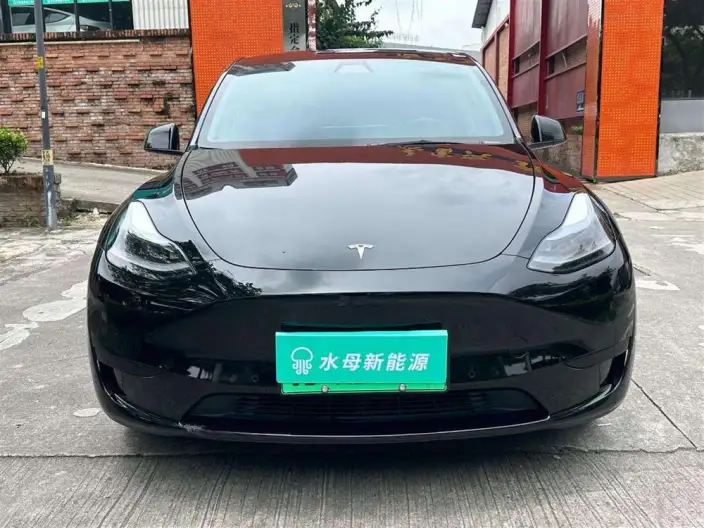 Model Y 2022 Model Facelift Rear-wheel drive version – фото 2