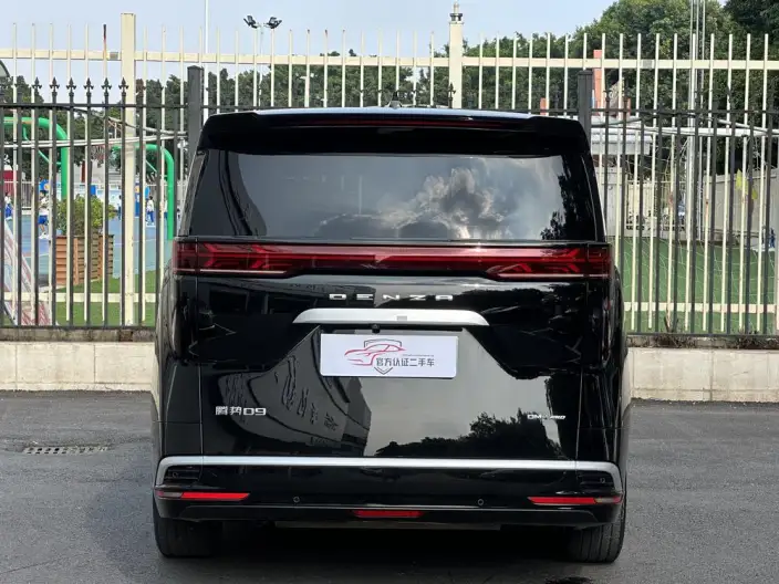 DENZA D9 DM 2022 Model 970 4WD Flagship Model – фото 5