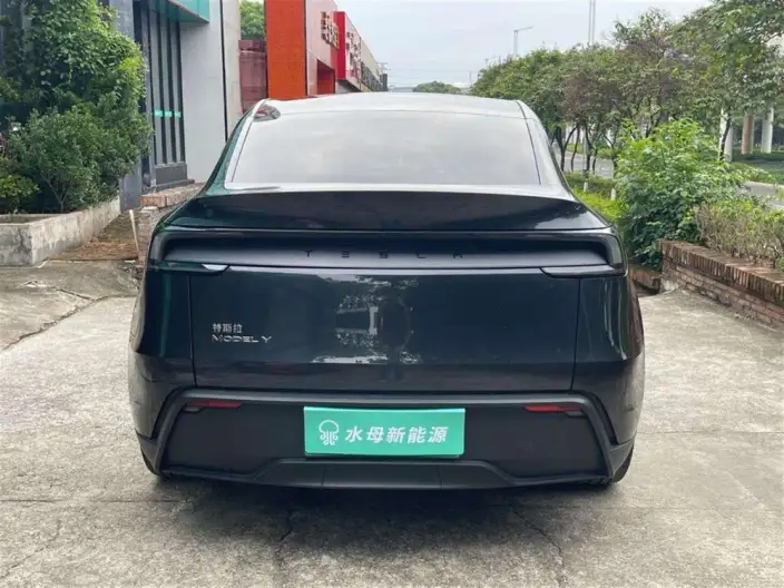 Model Y 2025 Model Rear-wheel drive version – фото 6