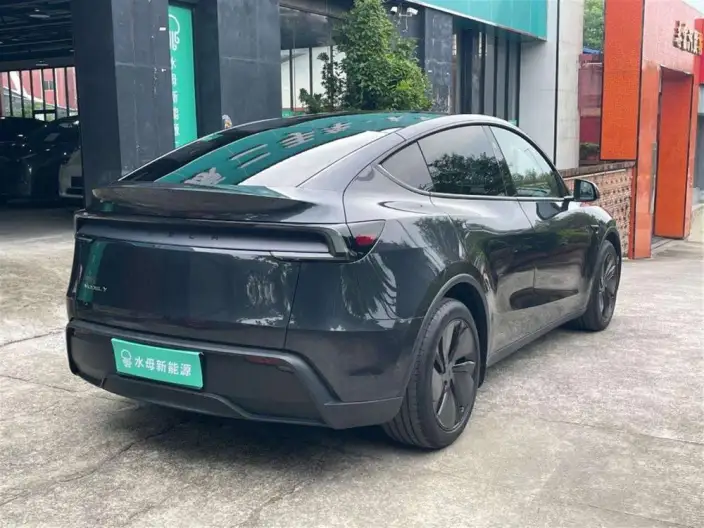 Model Y 2025 Model Rear-wheel drive version – фото 7