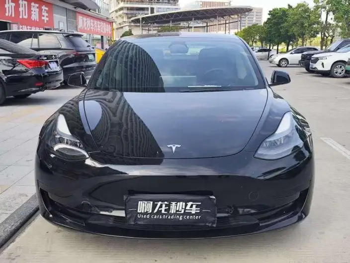Model 3 2022 Model Rear-wheel drive version – фото 2