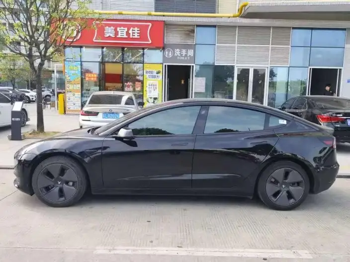 Model 3 2022 Model Rear-wheel drive version – фото 3