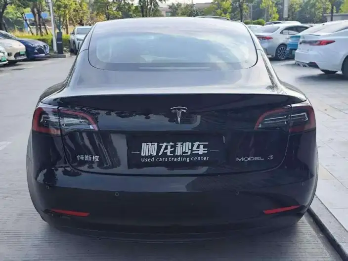 Model 3 2022 Model Rear-wheel drive version – фото 4