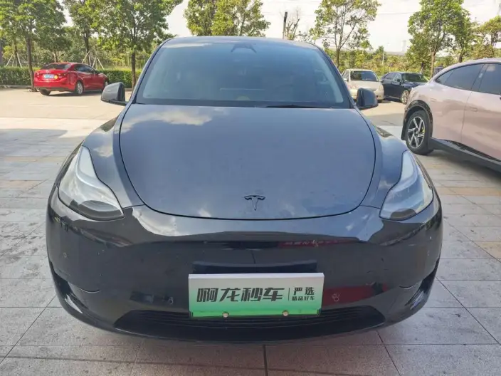 Model Y 2023 Model Rear-wheel drive version – фото 2