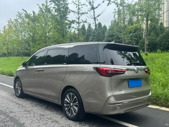 Buick GL8 2023 Model ES Luzun 2.0T Flagship Model – фото 5