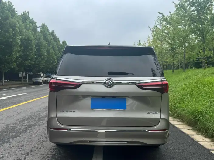 Buick GL8 2023 Model ES Luzun 2.0T Flagship Model – фото 6