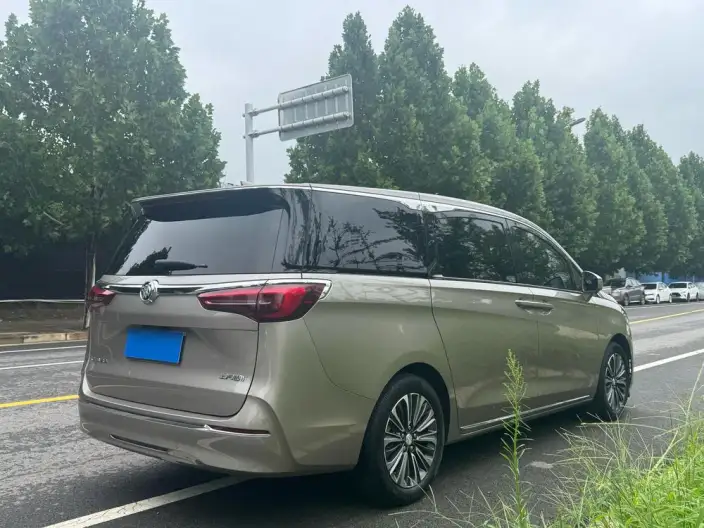 Buick GL8 2023 Model ES Luzun 2.0T Flagship Model – фото 7