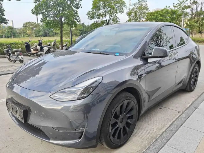 Model Y 2023 Model Rear-wheel drive version – фото 1
