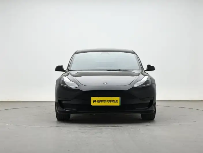 Model 3 2022 Model Rear-wheel drive version – фото 2