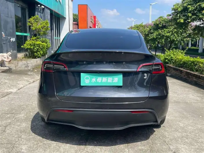 Model Y 2024 Model Rear-wheel drive version – фото 6