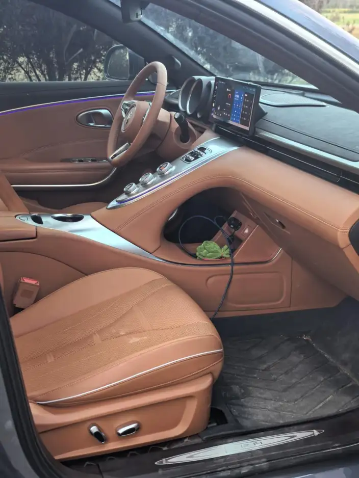 ORA Grand Cat 2022 Model 555km Premium Edition – фото 7