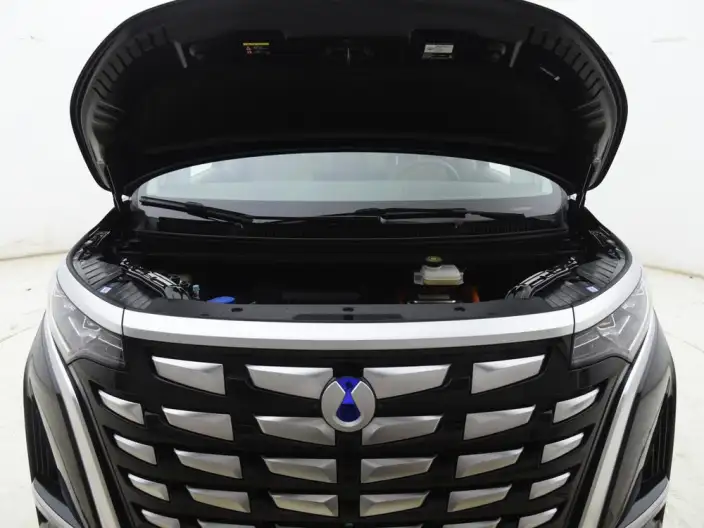 DENZA D9 DM 2022 Model 970 4WD Flagship Model – фото 6