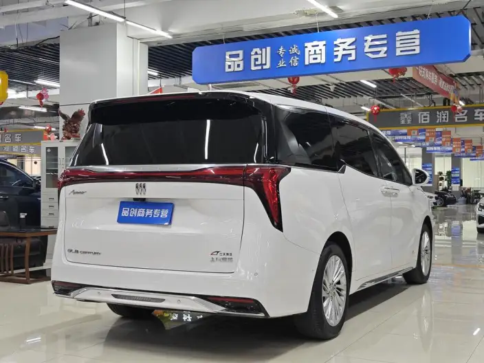 Century 2025 Model 2.0T VI seat Yunshi Edition – фото 6