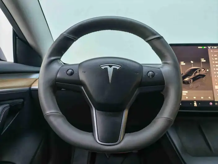 Model 3 2022 Model Rear-wheel drive version – фото 9