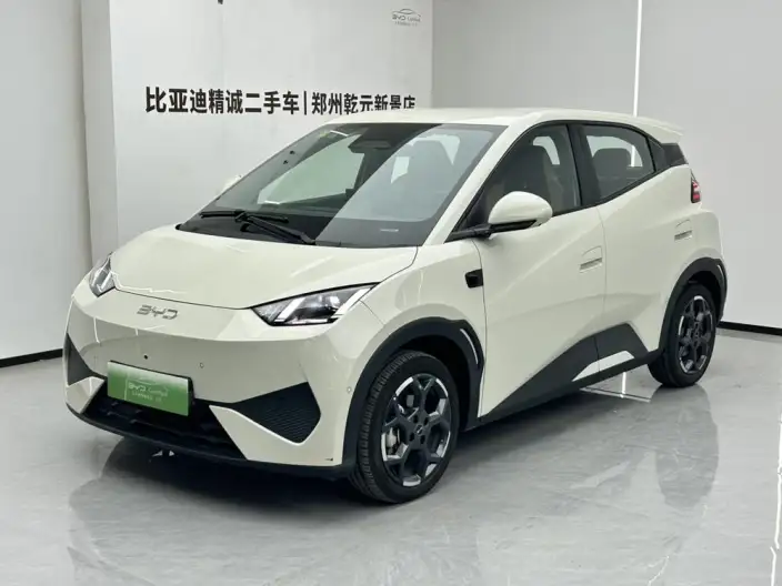 BYD Seagull 2025 Model Smart Driving Edition 305KM Free Edition